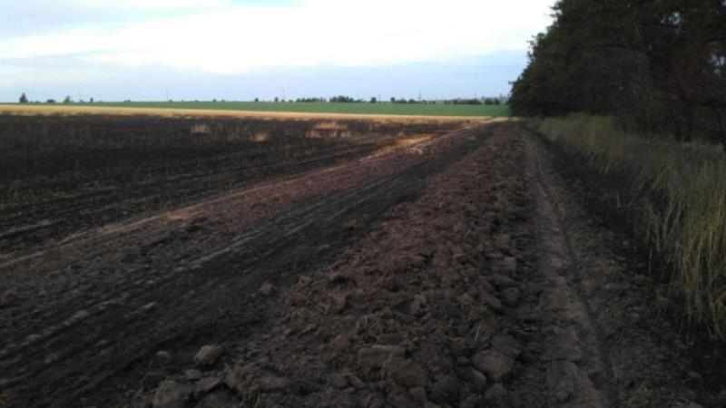 Наслідки пожежі на пшеничному полі у Запорізькій області